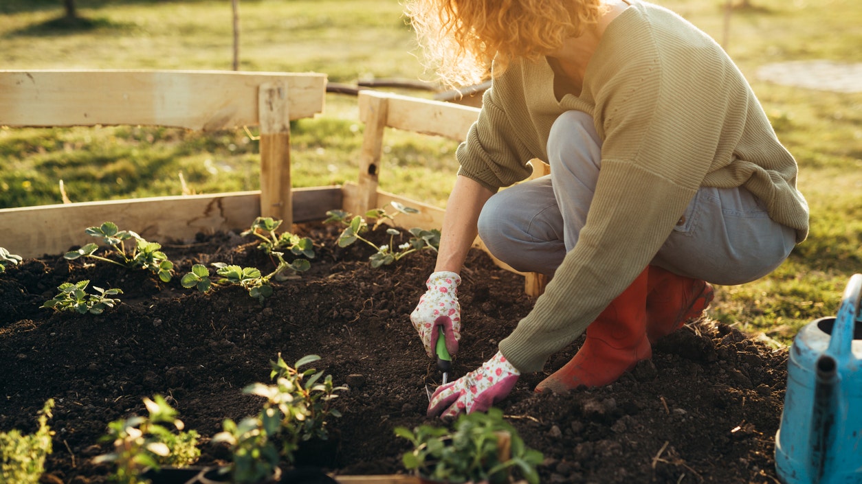11 garden tools every gardener should have