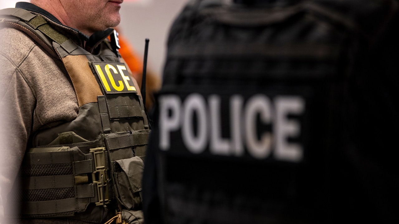 Immigration officials, DOGE seek data in crackdown on illegal immigration and waste