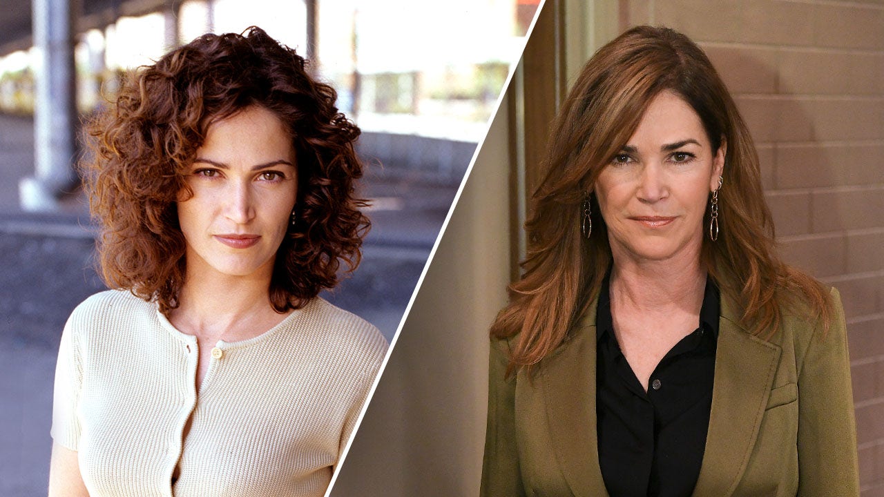 Hollywood actress Kim Delaney’s arrest caps decades of personal struggles