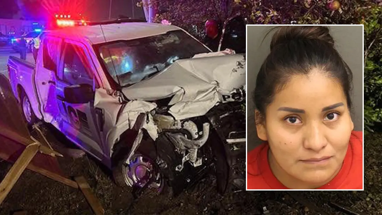 Florida police officer injured after illegal alien crashes into patrol car