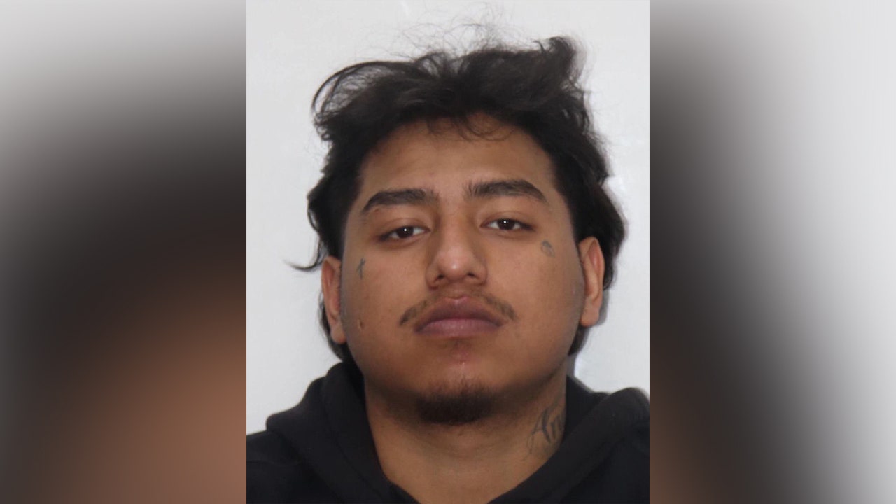 Alleged MS-13 member with violent criminal past arrested in Tennessee: police