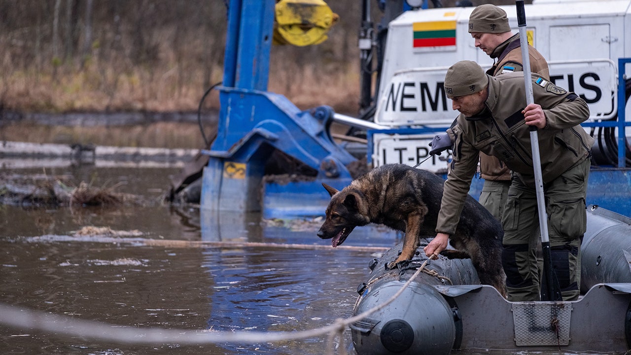 Lithuania deploys dogs in search for final missing US soldier