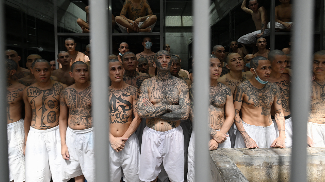 MS-13 gangsters ‘desperate’ as Trump cracks down on illegal immigrant criminals