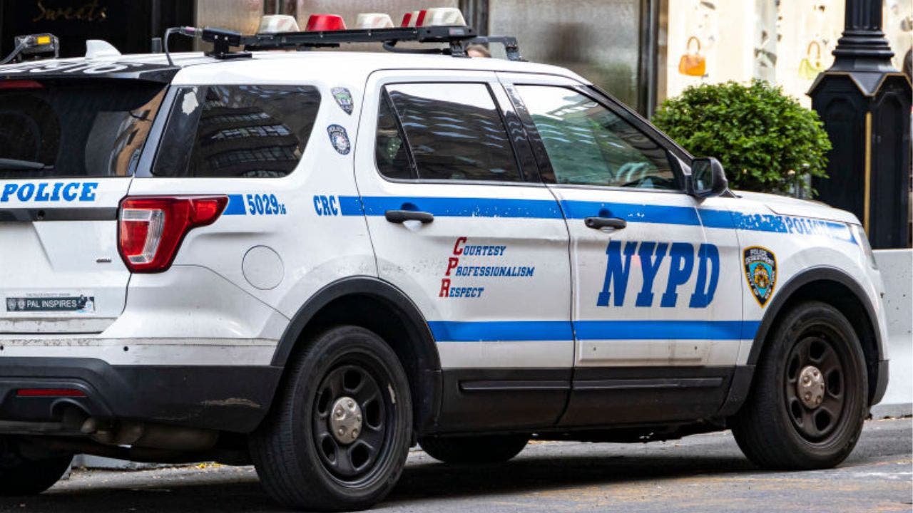 New York proposal would ban police from making traffic stops for minor violations to pursue ‘racial equity’