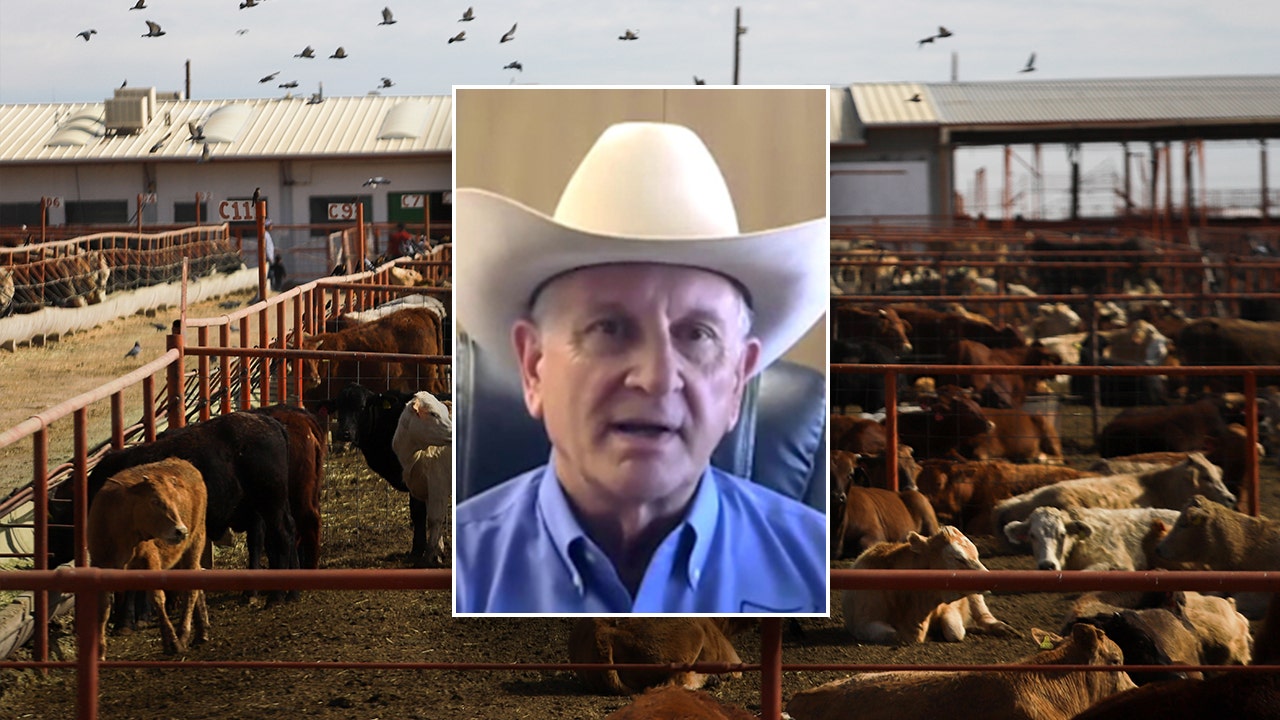 US ranchers warn of screwworm threat as Mexico relents under USDA pressure