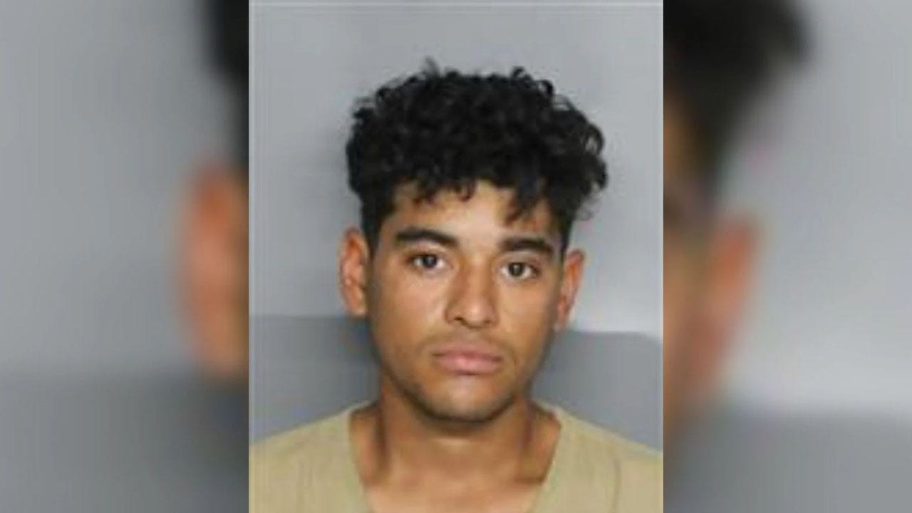 Illegal immigrant sexually assaulted teenage boy in the woods: Florida sheriff