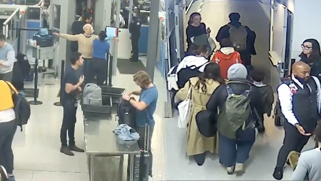 Russian national Svetlana Dali seen on video sneaking onto flight