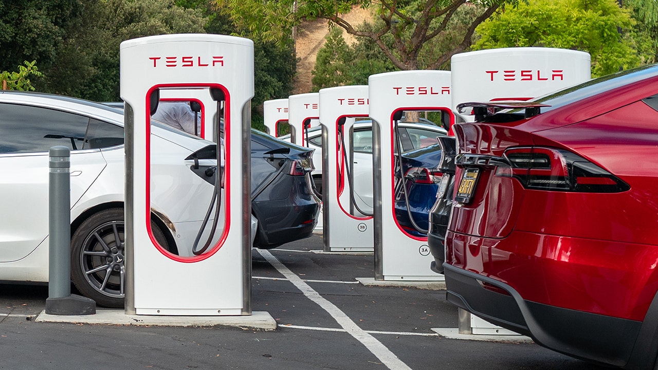 Tesla owners can stay safe with tips from crime prevention expert