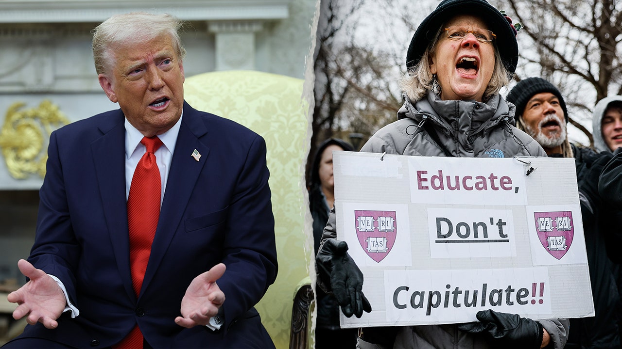 383 ‘active’ DEI offices, programs still at in effect at US colleges: report
