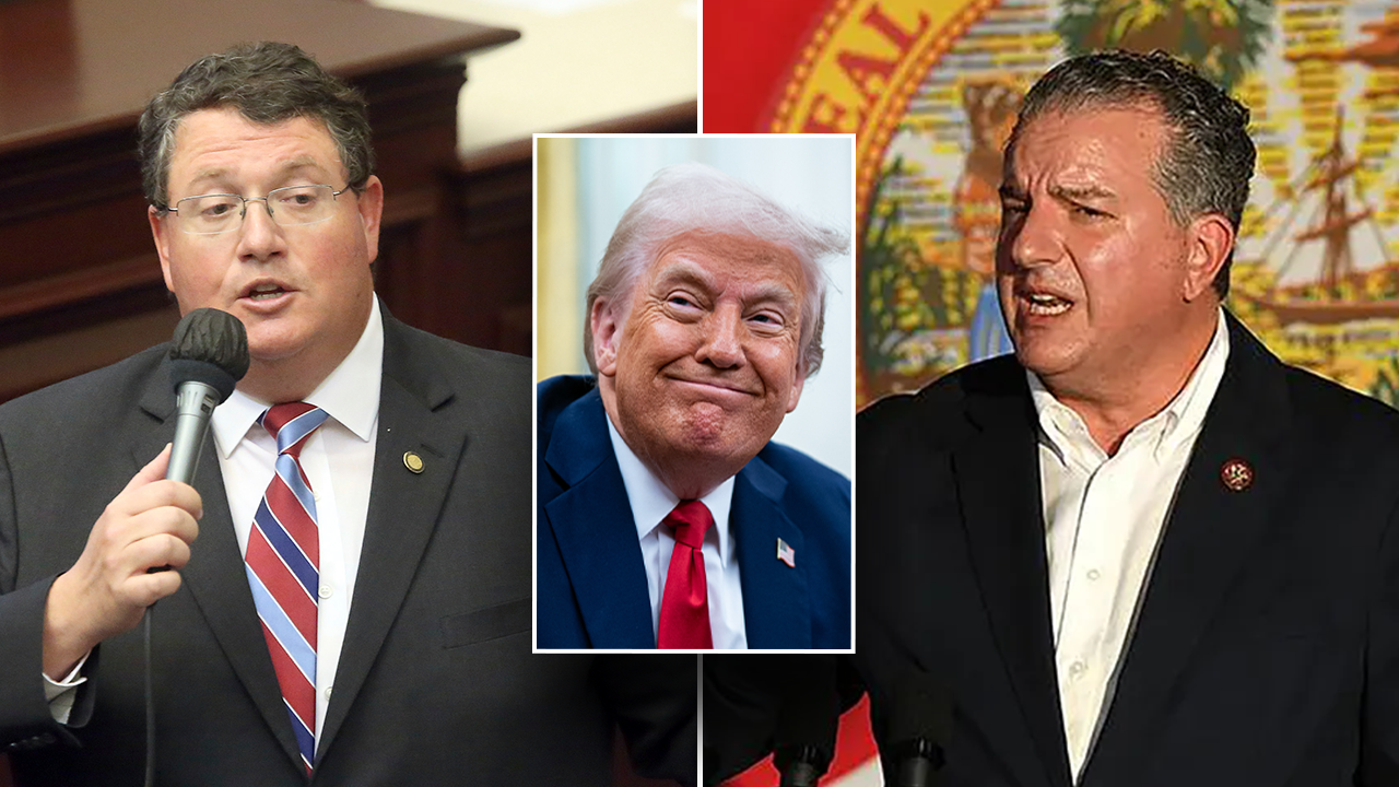 New Trump-picked lawmakers on Capitol Hill: Who are Randy Fine and Jimmy Patronis?