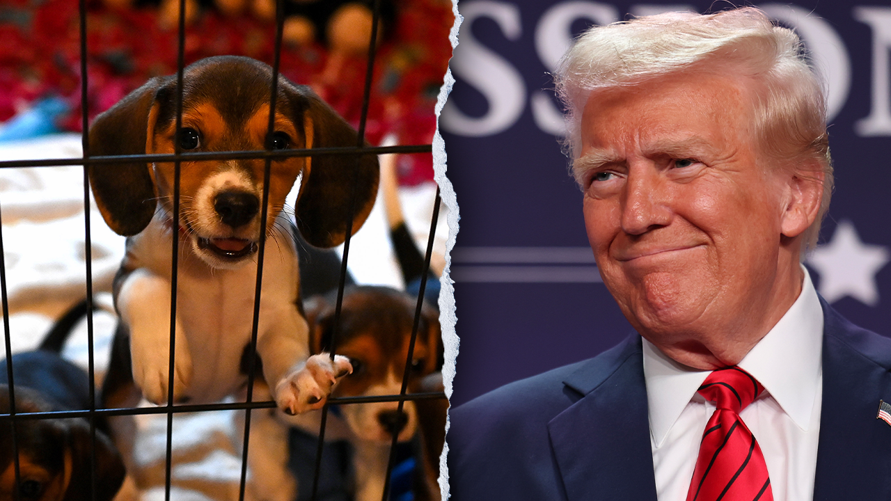 PETA, animal rights groups praise Trump admin for bucking animal testing