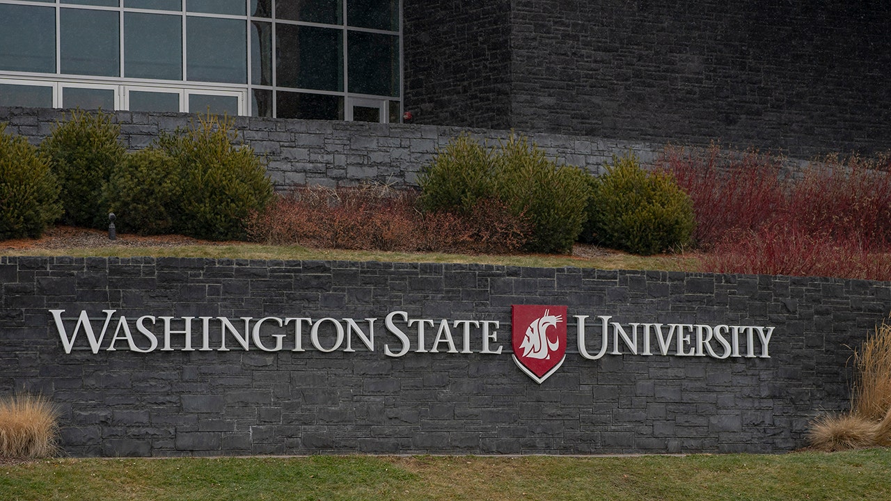 Washington State University instructor allegedly assaulted student in Trump hat