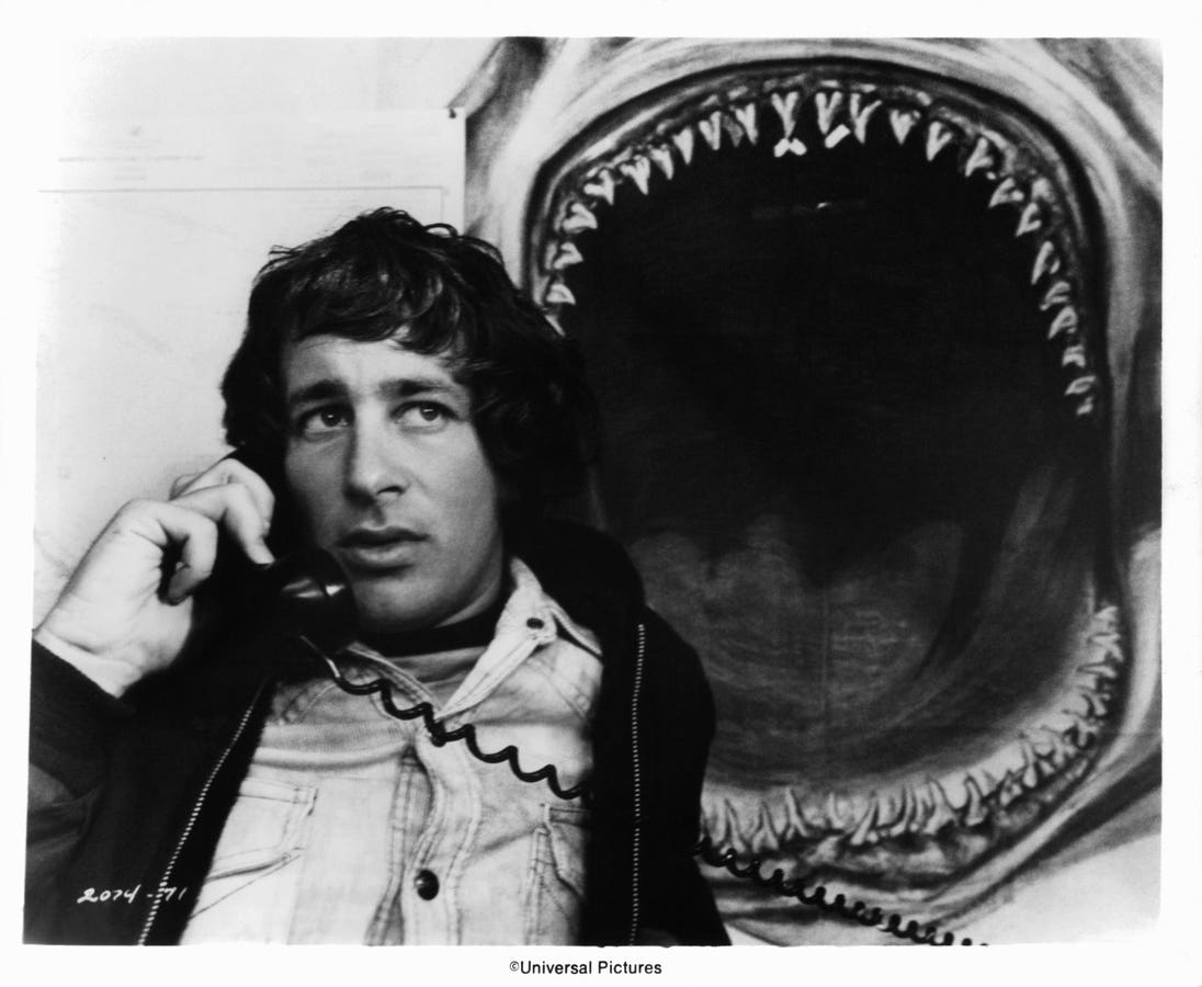The Fight To Save Sharks 50 Years After Jaws