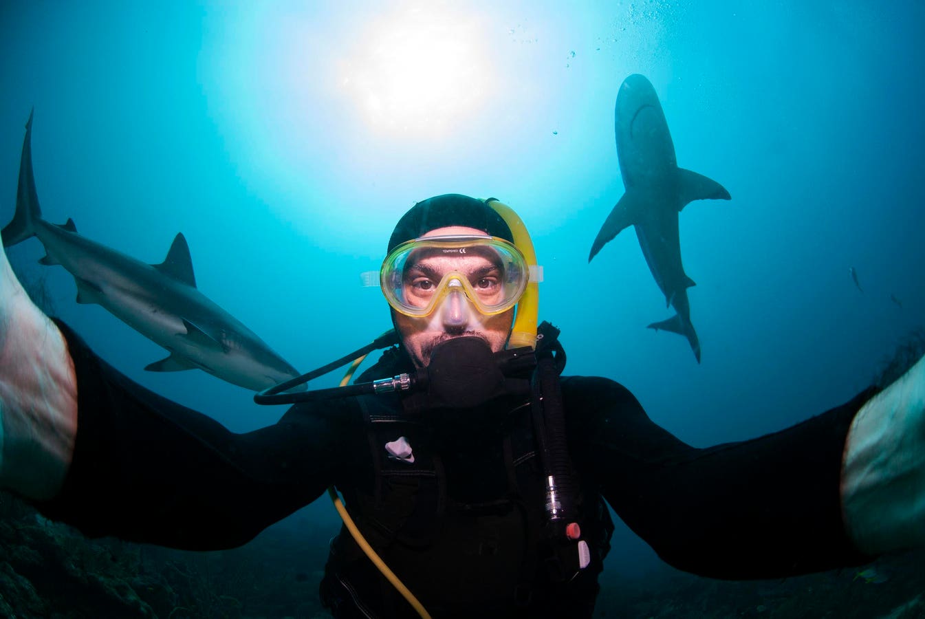 Influencers Are Getting Too Close To Sharks…And It’s Getting People Hurt