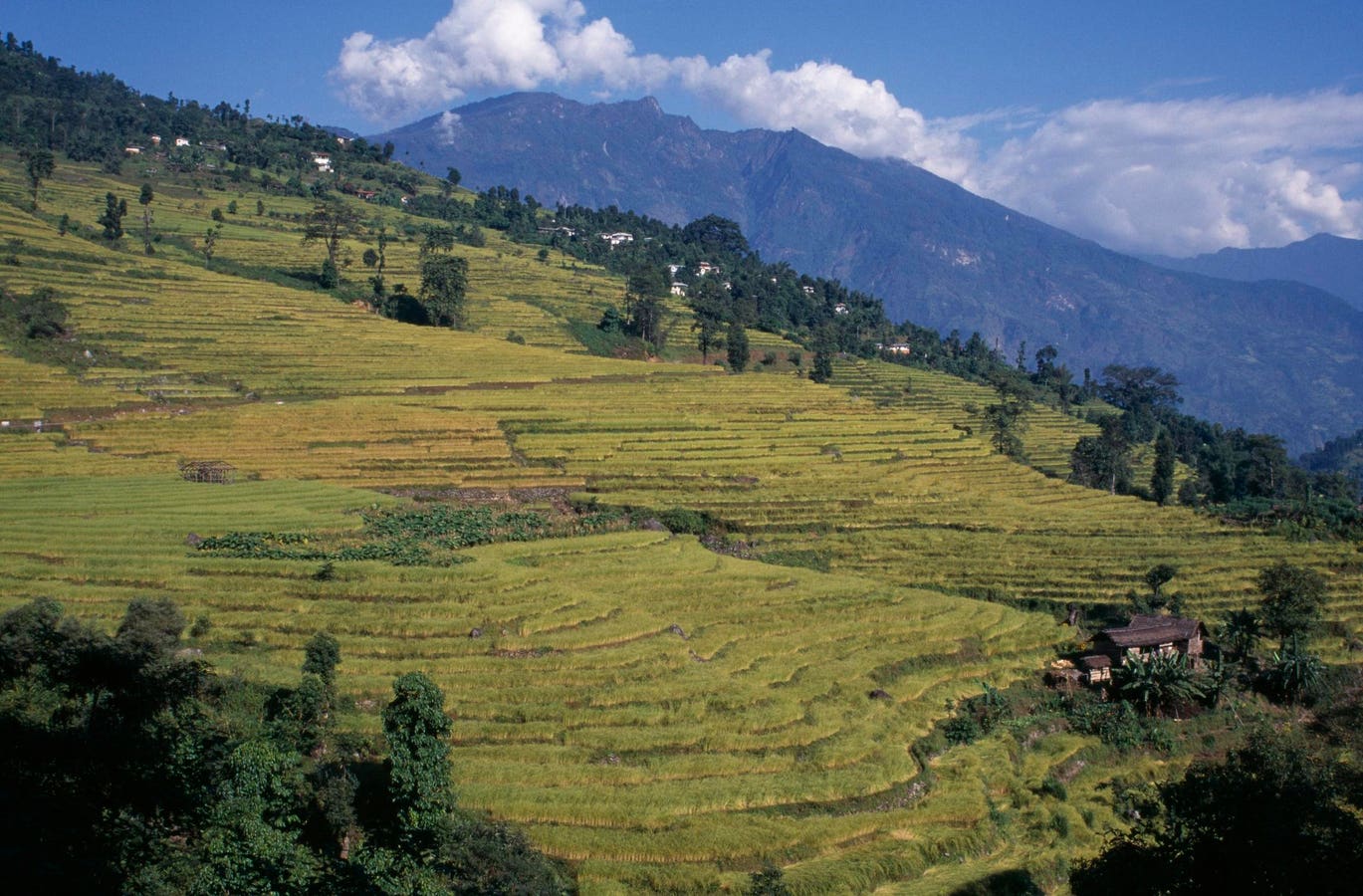 How Sikkim, India Become The World’s First Fully Organic State