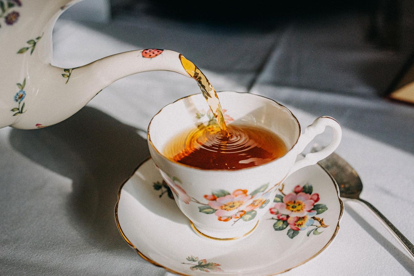 A Field-To-Cup Journey In Sustainability