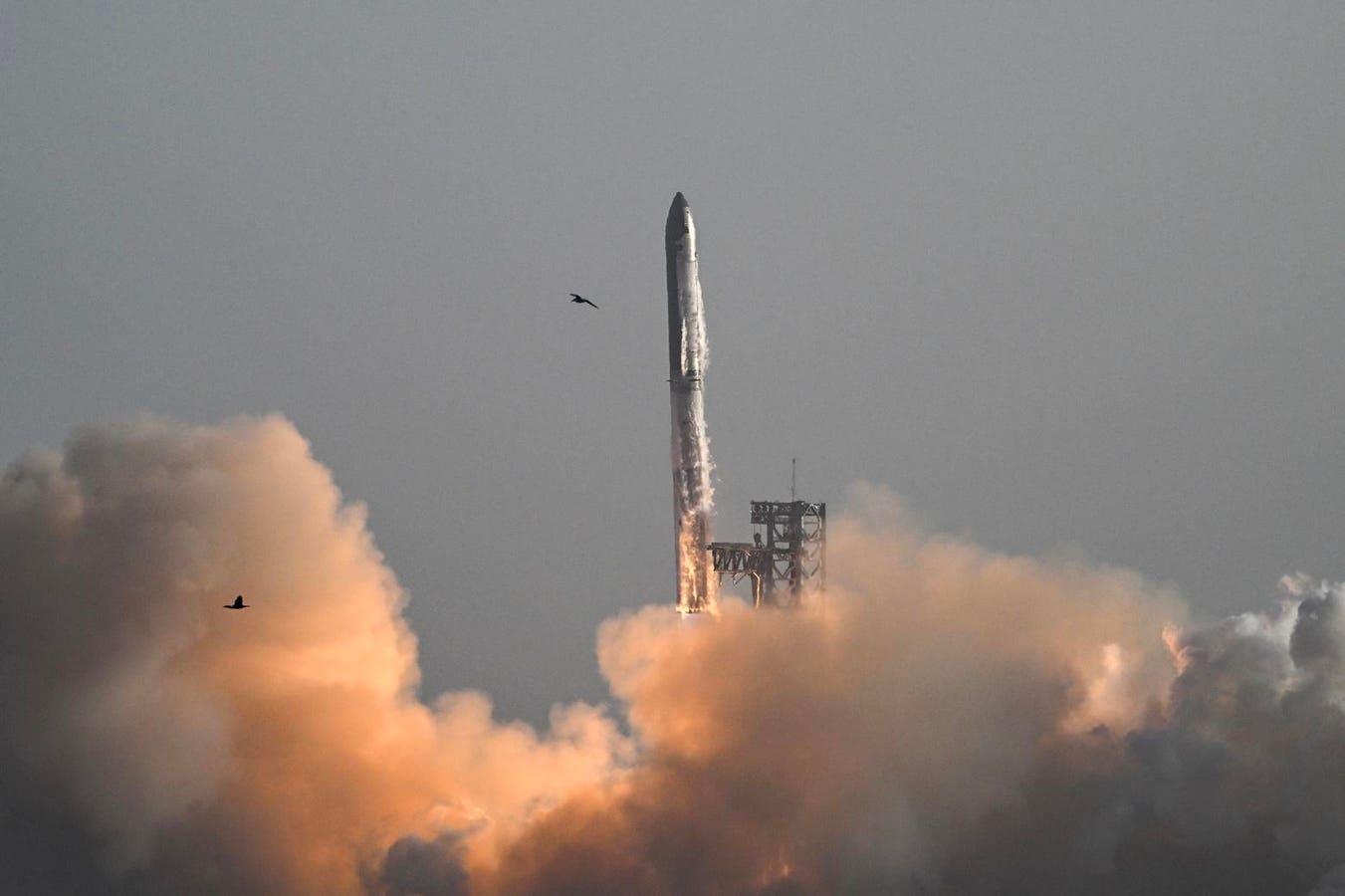 SpaceX Starship Launch Approved As Elon Musk Aims To Update Mars Plan