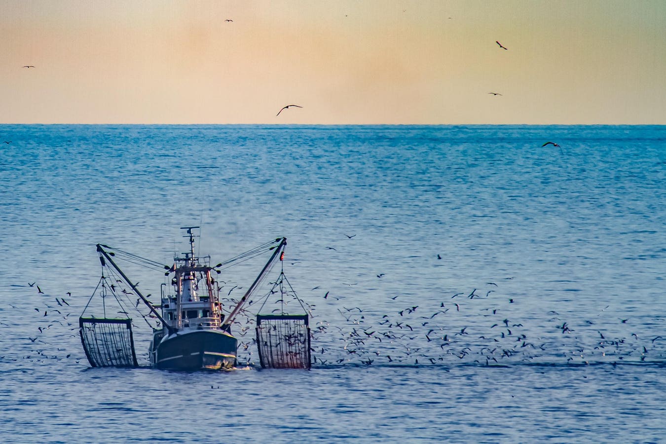 Subsurface Sea Mud Is The Unsung Hero In The Climate War