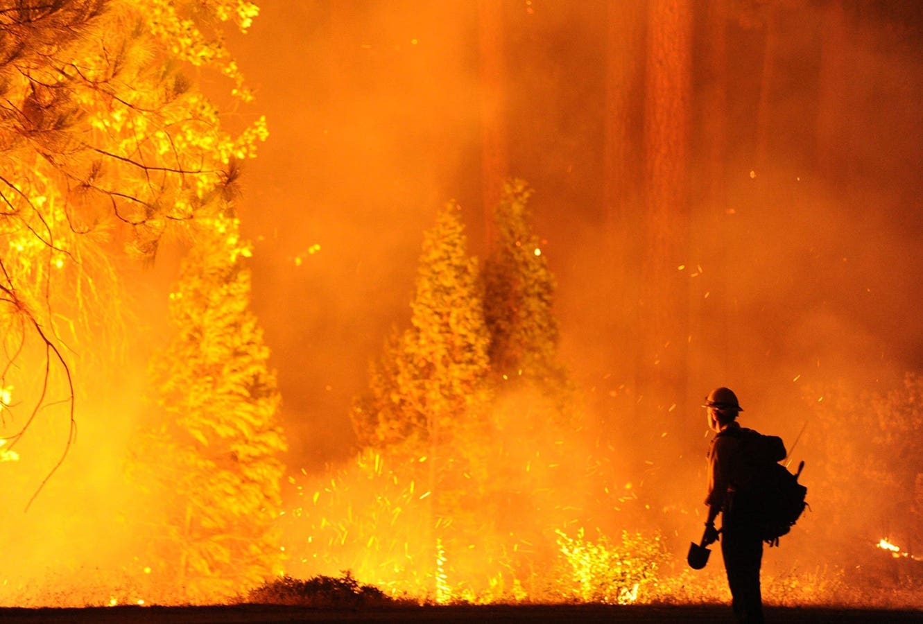 Do More Conservatives Fear Climate Change Than Liberals?