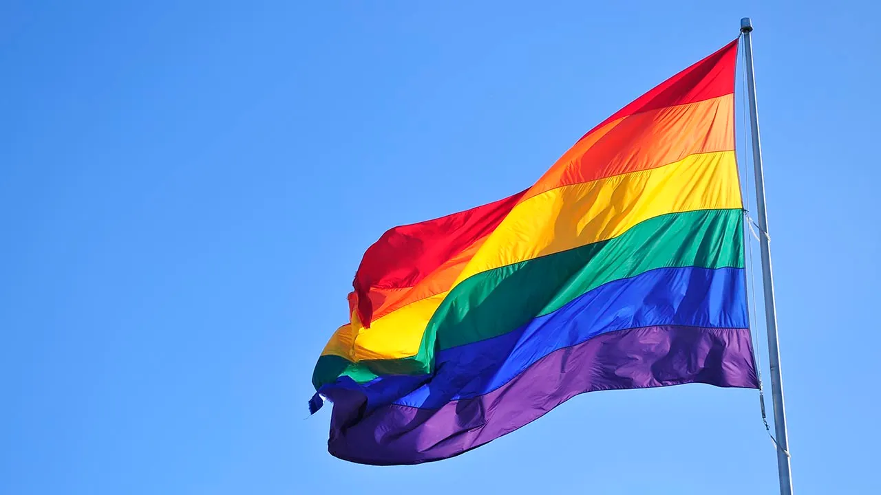 Ohio bill proposing ‘Natural Family Month’ faces criticism from LGBTQ families