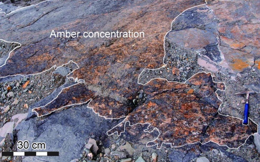 Cretaceous Amber Deposits Reveal Large-Scale Tsunamis