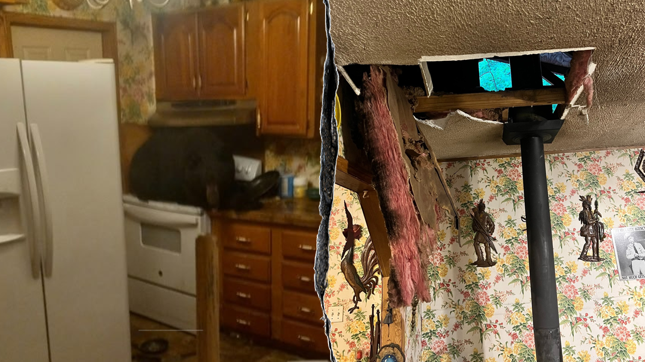 Black bear reportedly climbs ladder, crashes through ceiling into Kentucky home