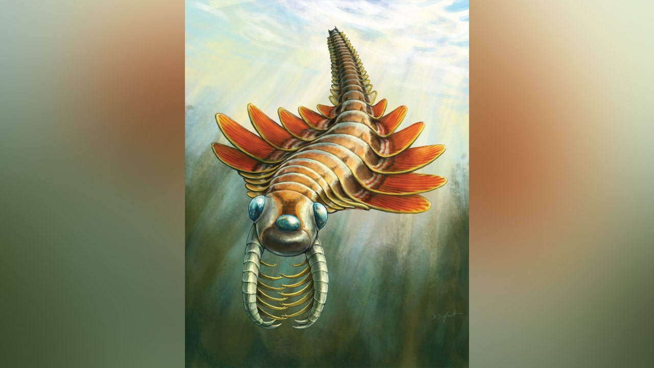 Ancient fossil found in Canada reveals moth-like predator with three eyes