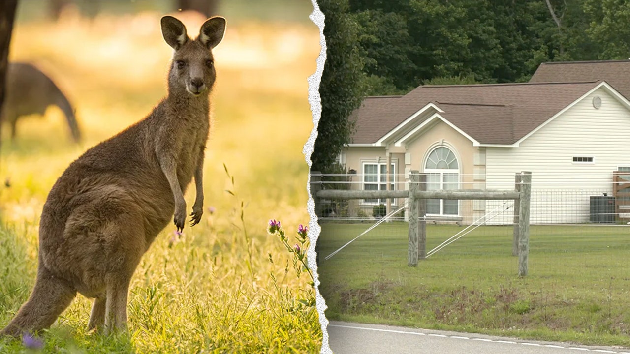 Man found dead in kangaroo, wallaby enclosure in South Carolina