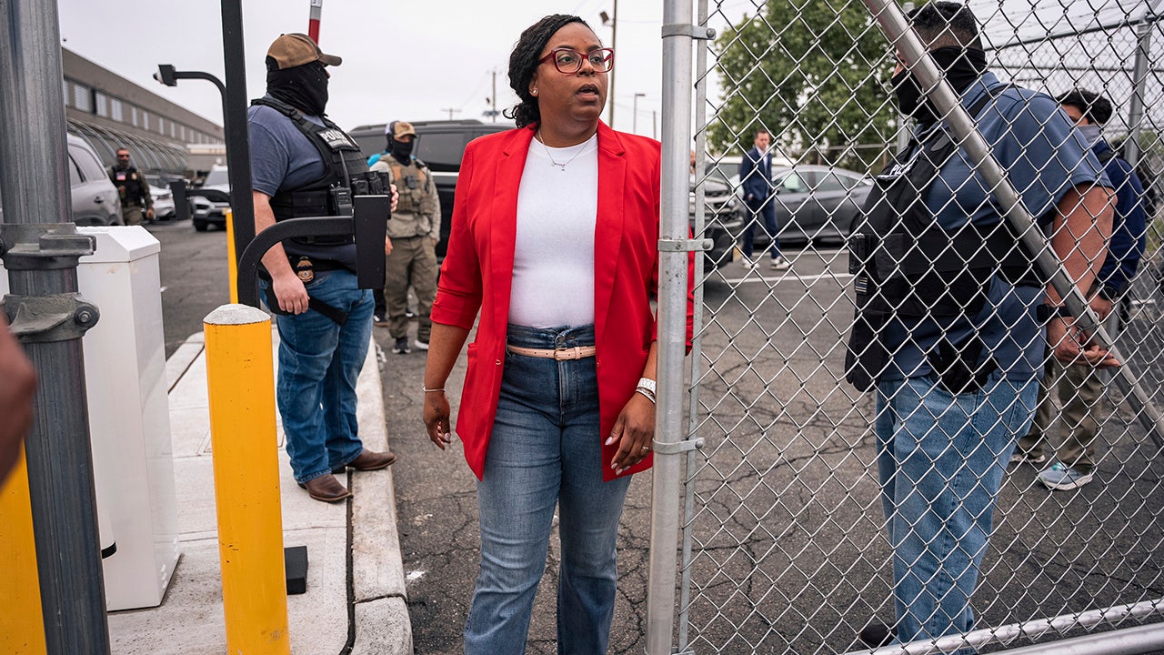 New Jersey lawmaker faces court after allegedly assaulting agents at ICE facility