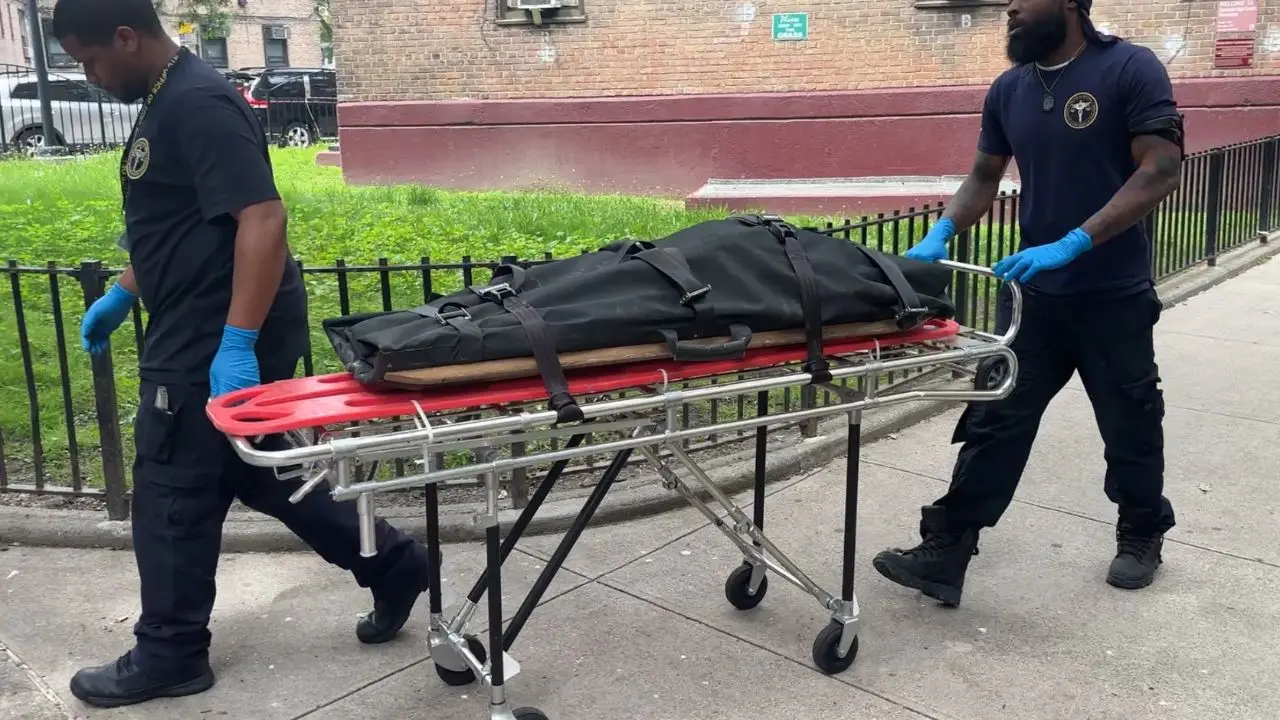 Infant mauled to death by puppy in New York City: ‘Sound of screaming rattled the building’