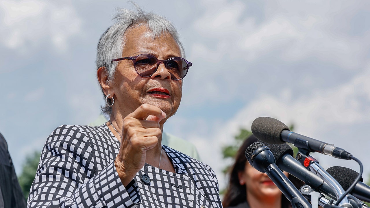 Dem lawmakers defend ‘storming’ of ICE facility