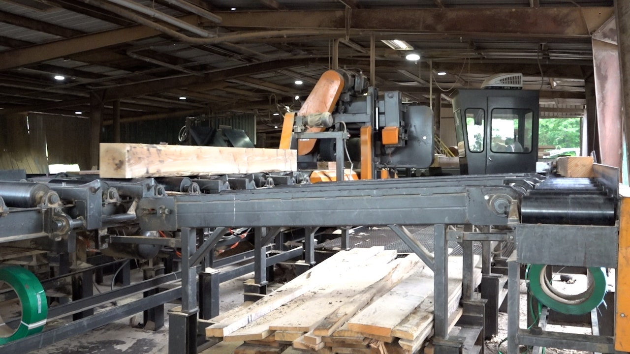 Sawmills recycle Hurricane Helene debris, reducing wildfire threat