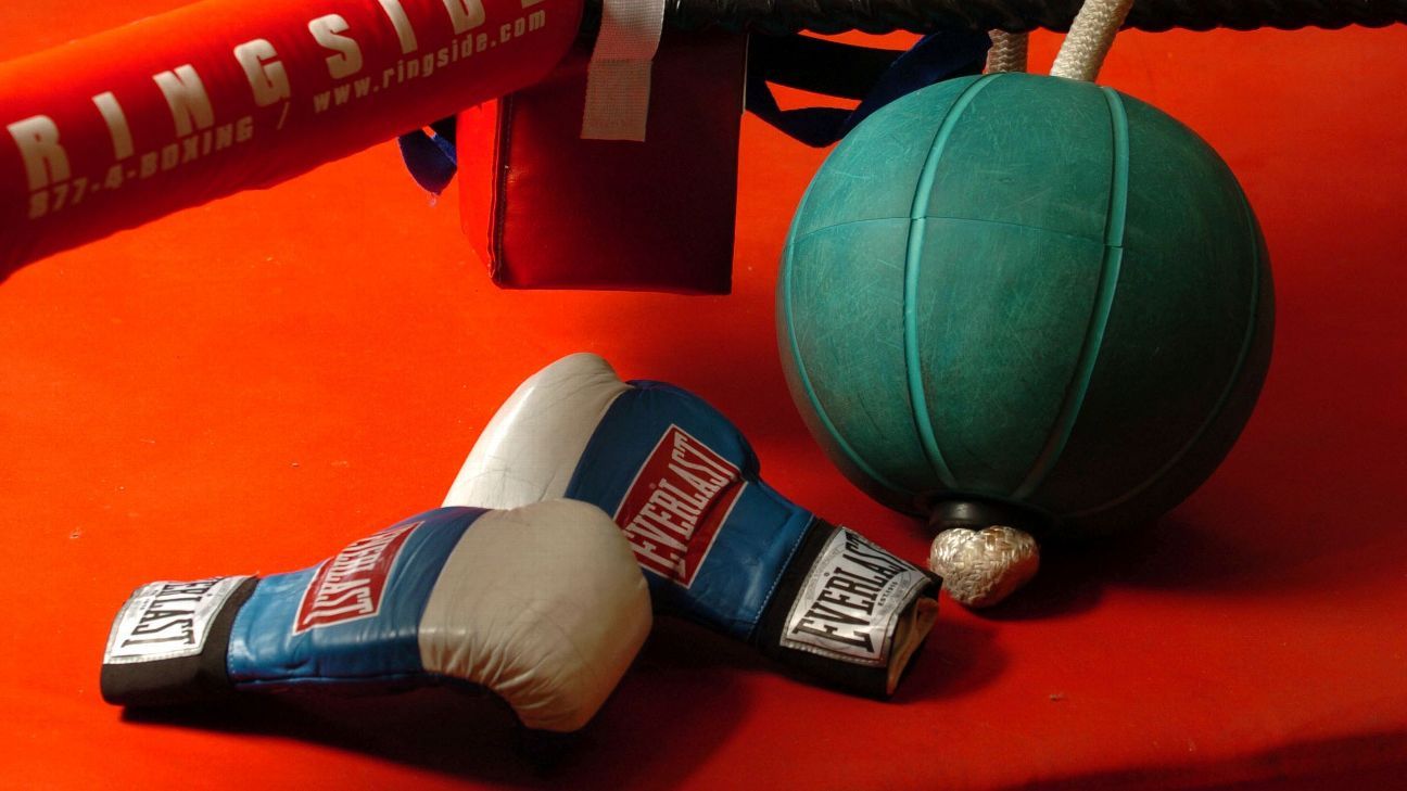 Hall of Fame boxer, 3-division champion Mike McCallum dies