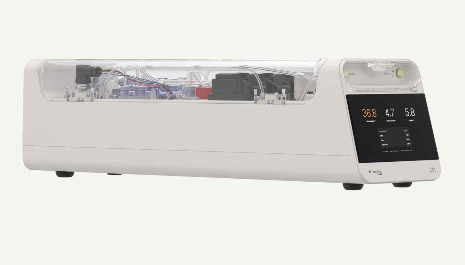 A Computer With 800,000 Human Neurons