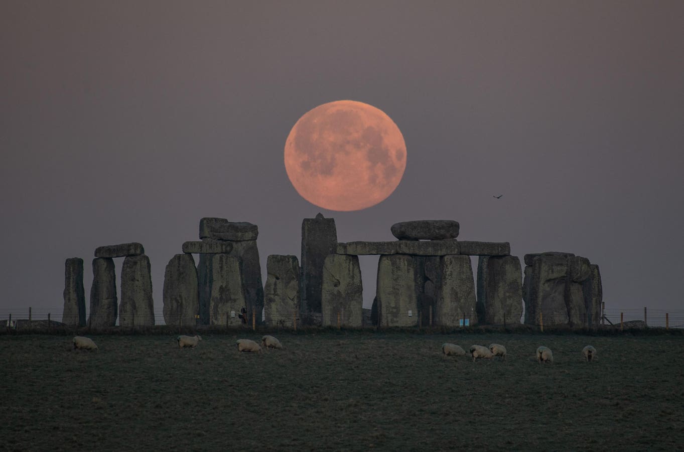 Why The ‘Strawberry Moon’ Will Be Lowest Until 2043 — And How To Photograph It
