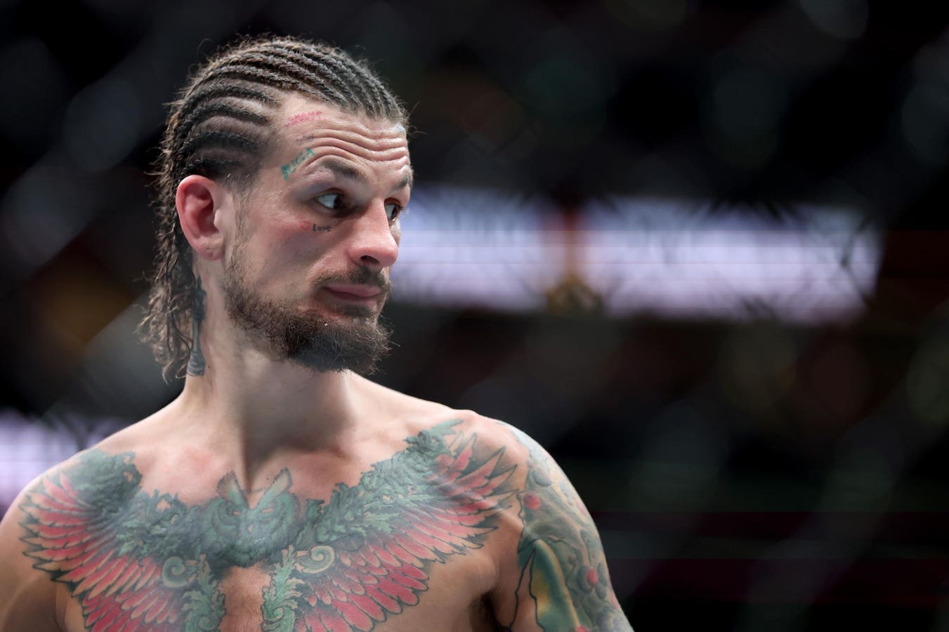 Sean O’Malley Has Been Left With Just 1 Option