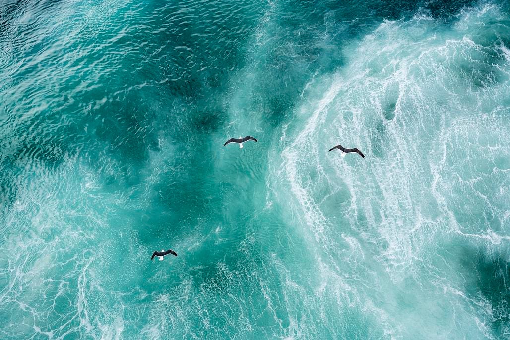 We Can Protect 30% Of Earth’s Ocean Habitats, ESA-Funded Study Says
