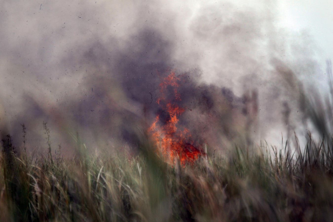 Taming Wild Fires Before They Spiral