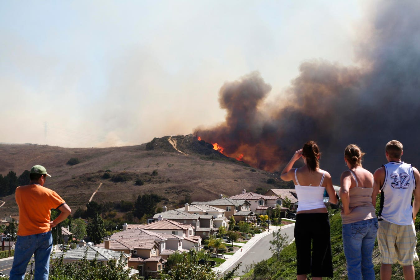 New State Laws To Protect People, Pets In Wildfires, Extreme Weather