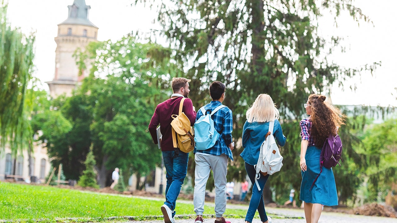 Southern states join forces to break free from ‘woke accreditation cartels’