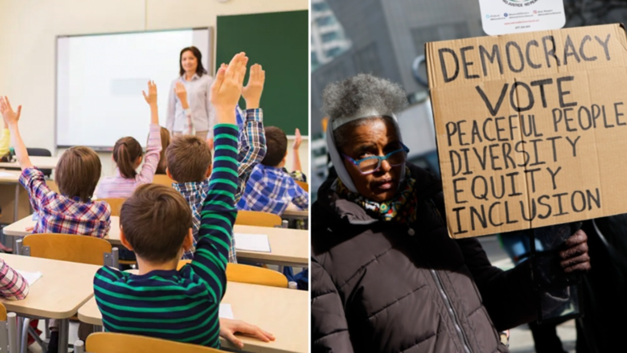DEI consultant groups making ‘big bucks’ from public school contracts: report