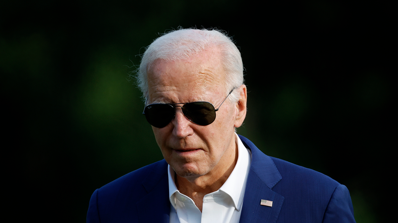 Democrats ‘leaderless and message-less,’ says former Clinton strategist