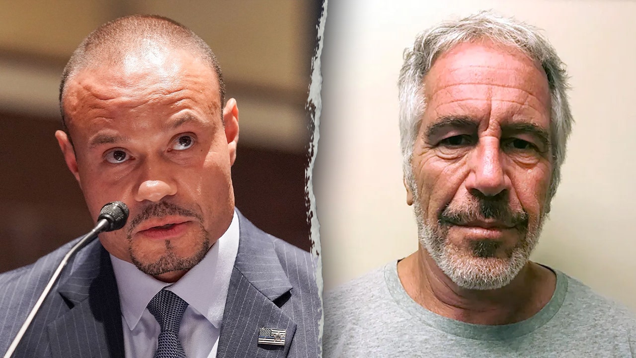 FBI files show Jeffrey Epstein died by suicide, says Deputy Director Bongino