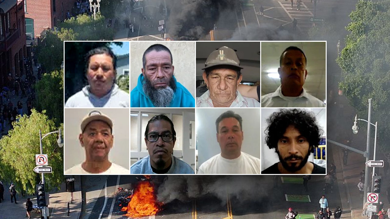 Trump’s DHS arrests over 20 illegal immigrants with violent criminal histories