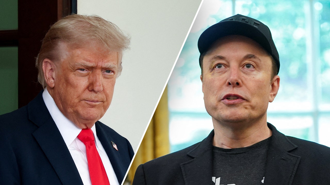 Experts doubt viability of Musk’s America Party amid feud with Trump
