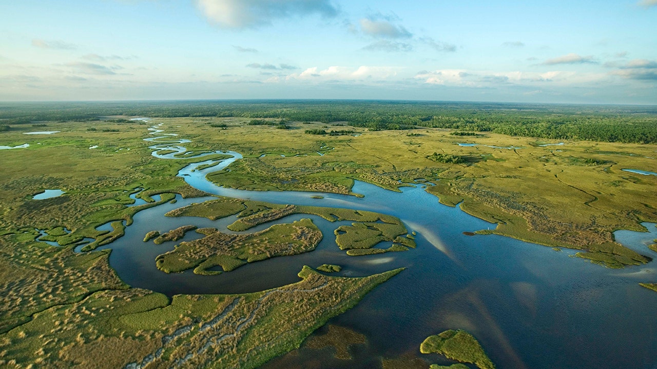 1,000-bed ICE detention facility being built in Florida’s Everglades
