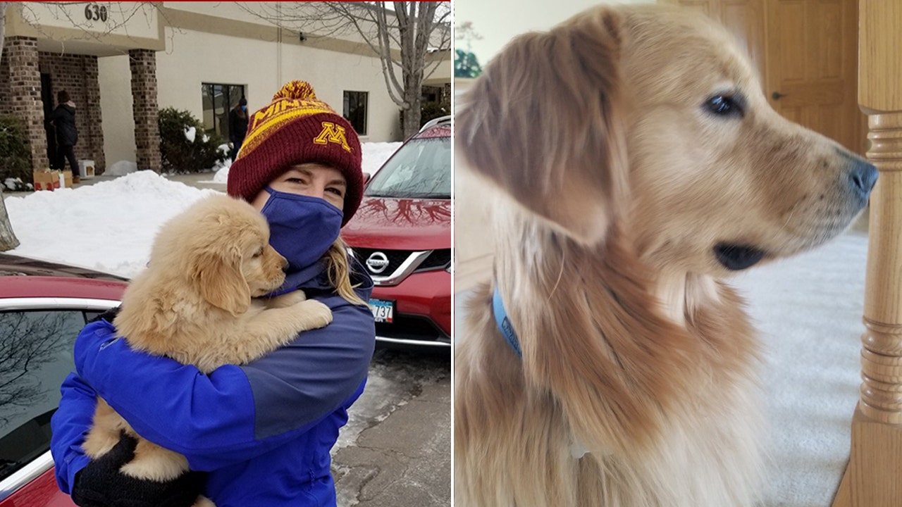 Minnesota lawmaker’s rescue dog Gilbert euthanized after family murder