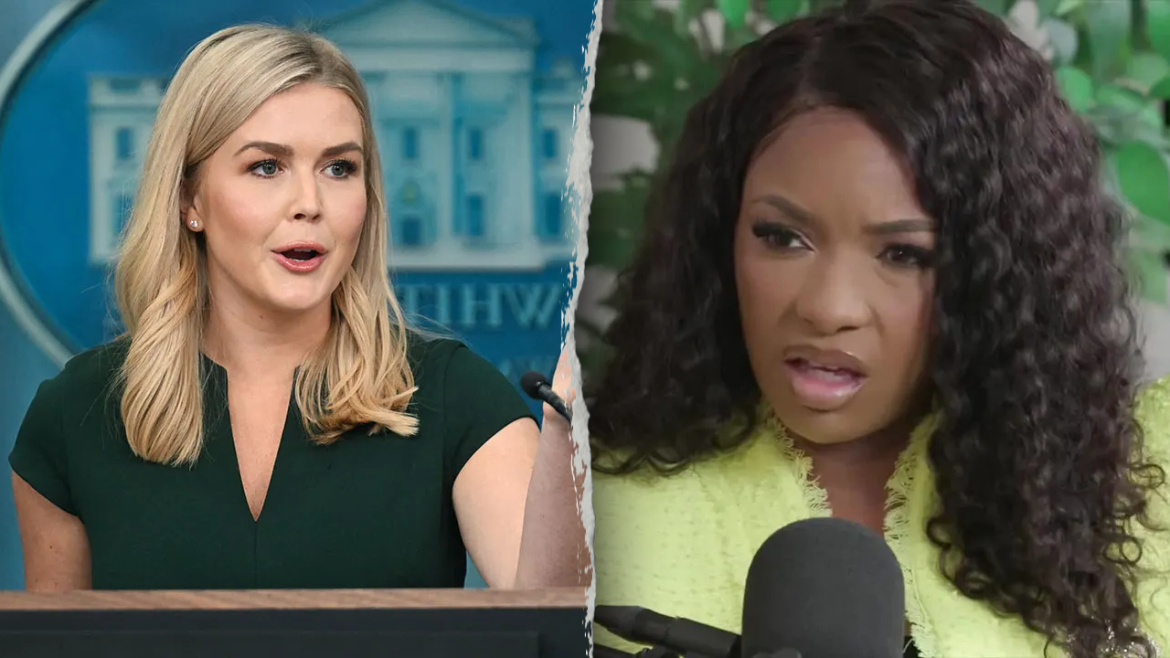 Leavitt sharply rebukes Texas Democrat for her swipe at ‘sick’ Trump supporters