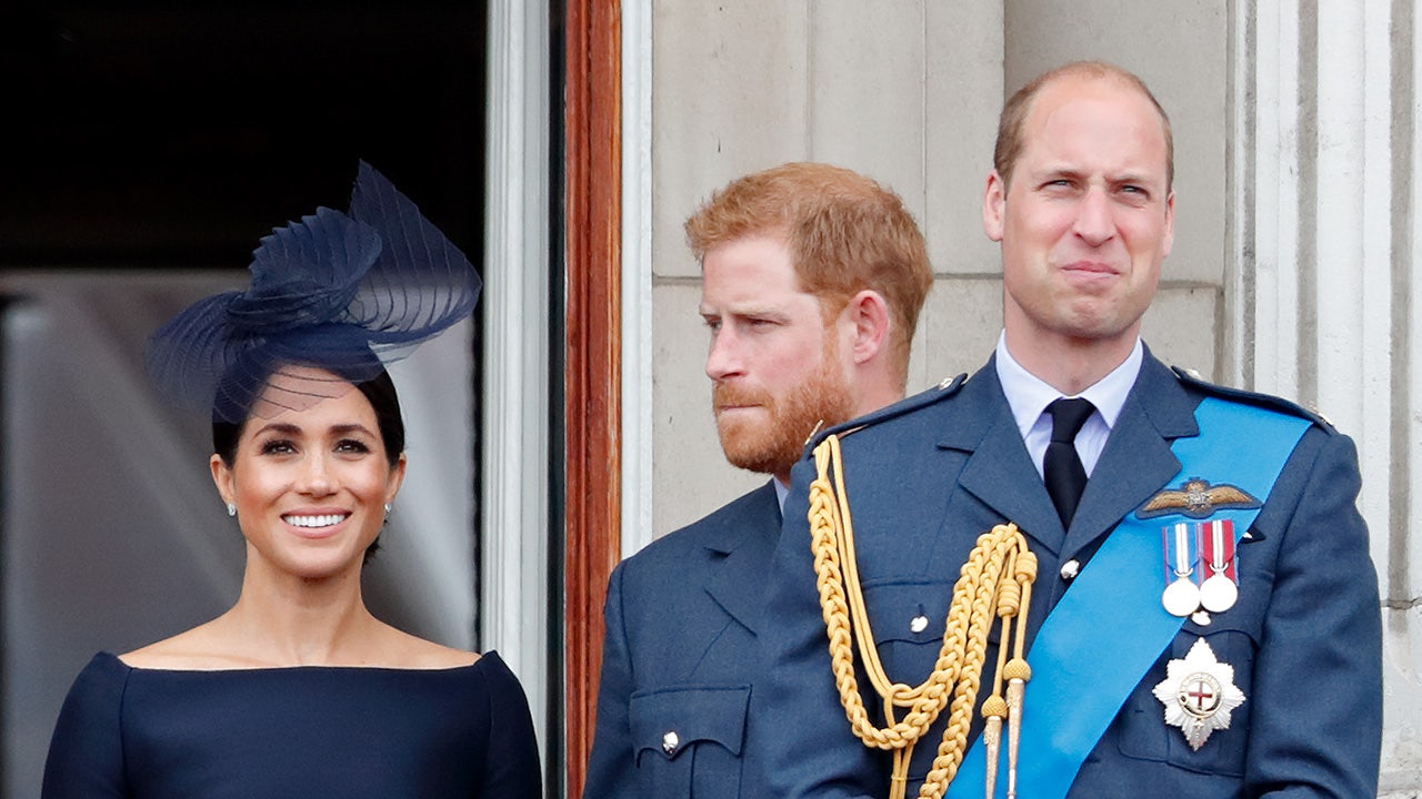 Prince William won’t offer royal roles to Prince Harry’s children: experts