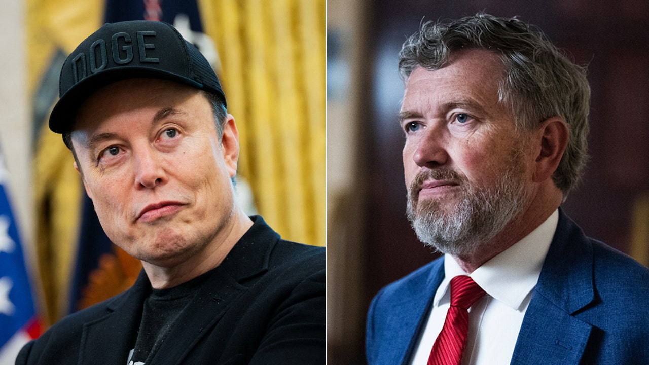 Elon Musk agrees with Rep. Thomas Massie criticism of Trump-backed bill